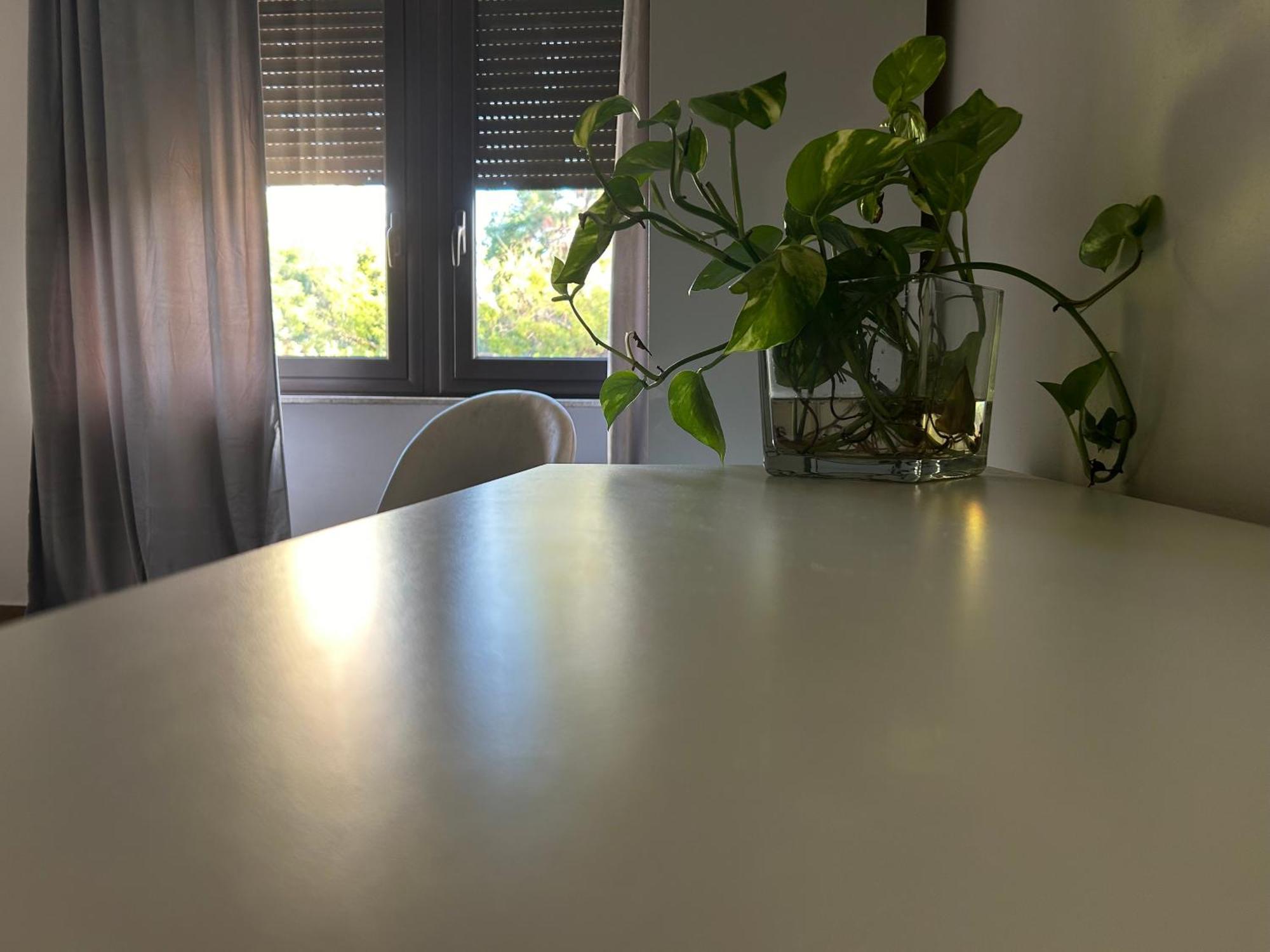 Francys Dreams Apartment - Palermo, Palermo